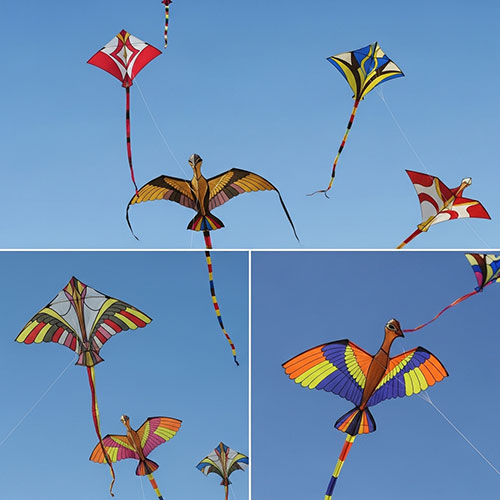 Kite flying in Casablanca