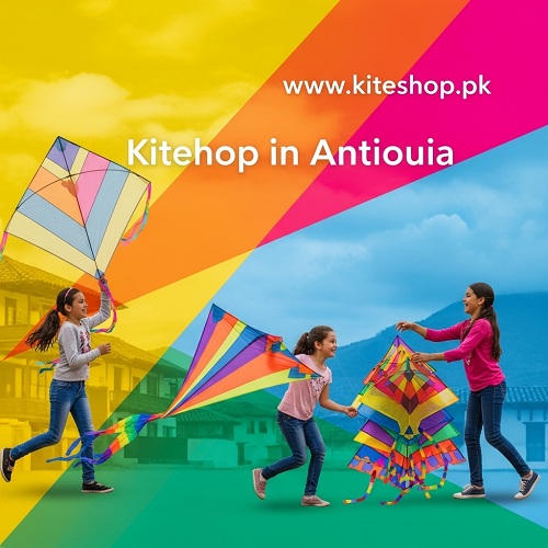 Kite flying in Ahmedabad