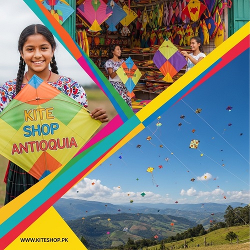 Kite flying in Ahmedabad