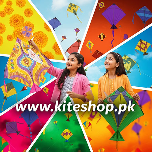 Kite flying in Jaipur