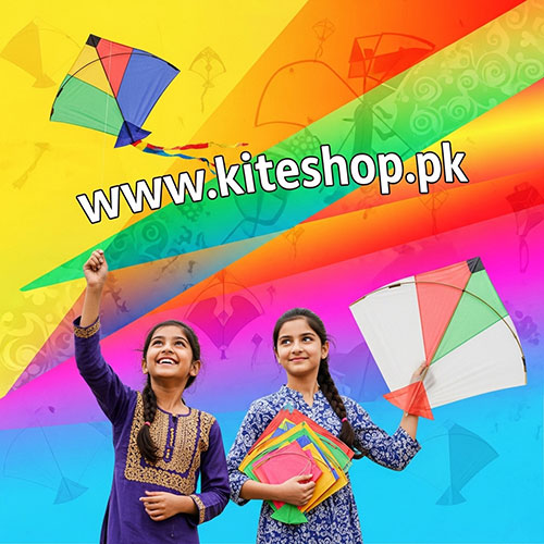Kite flying in Delhi
