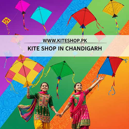 Kite flying in Chandigarh
