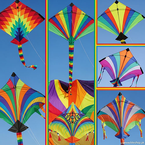 Kite flying in Paris