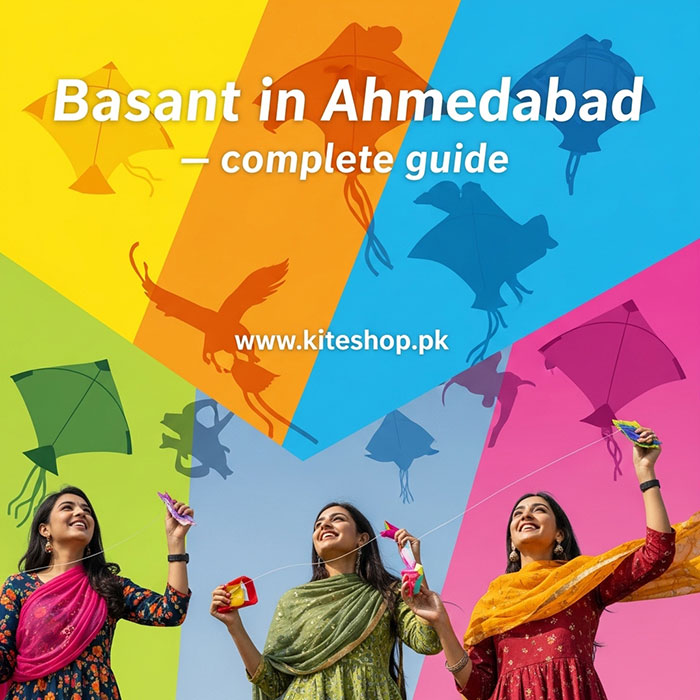 Basant kite festival colorful kites in the sky