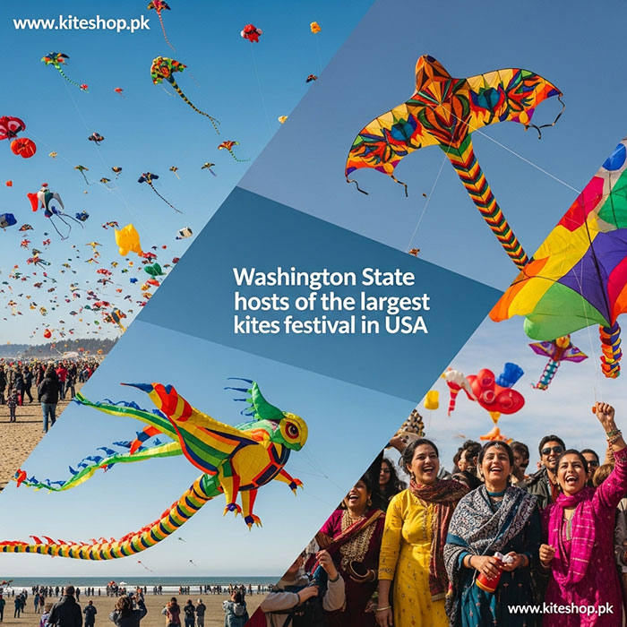 Basant kite festival colorful kites in the sky