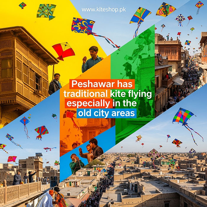 Basant kite festival colorful kites in the sky