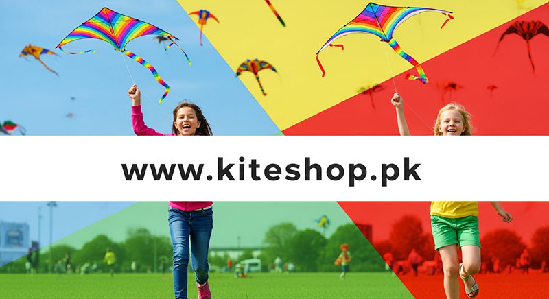 Berlin Kite Festival kite photo 3