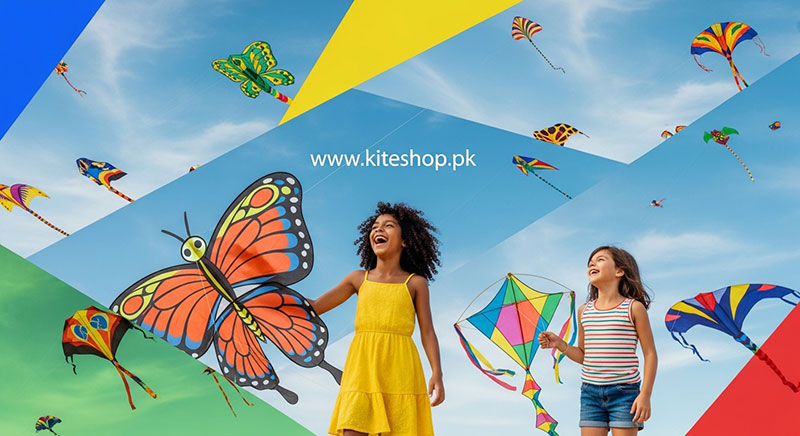 Festival de Pipas kite photo 2