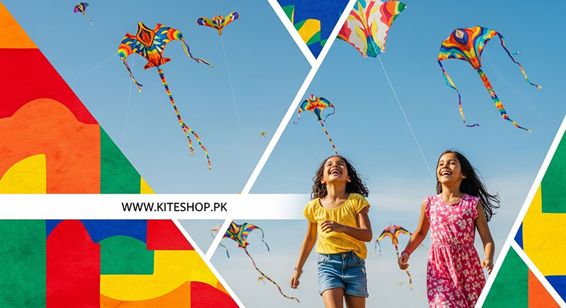 Festival de Pipas festival photo