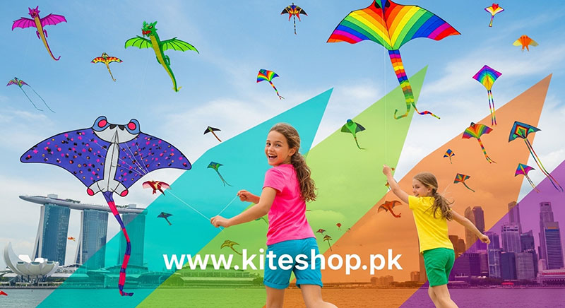 Singapore Kite Festival kite photo 4