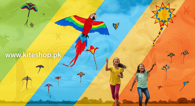 Festival del Viento y las Cometas kite photo 3