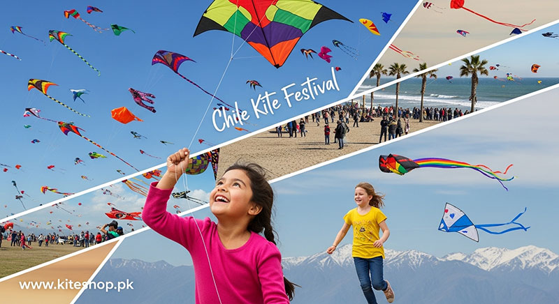 Chile Kite Festival festival photo
