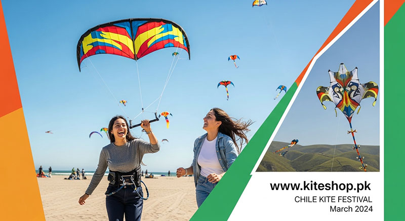 Chile Kite Festival kite photo 3