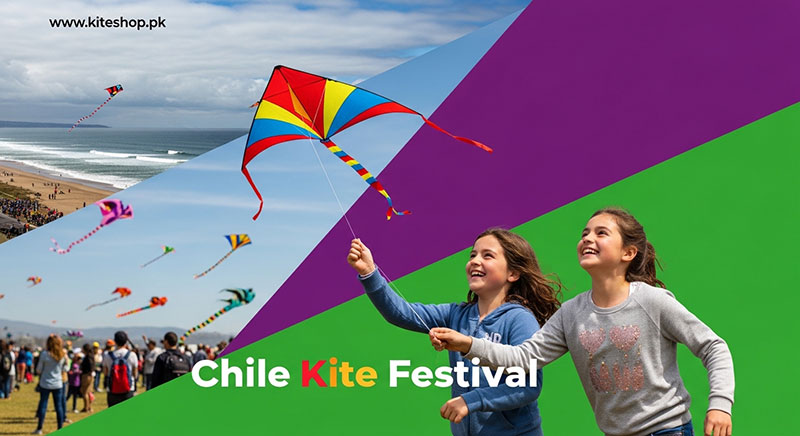 Chile Kite Festival photo
