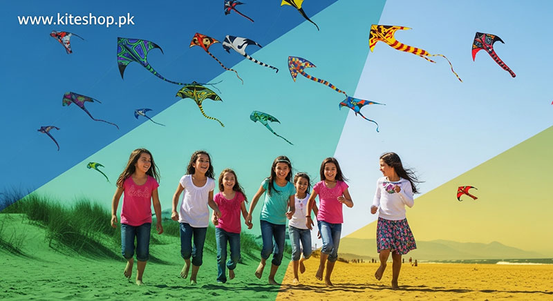 Chile Kite Festival kite photo 2