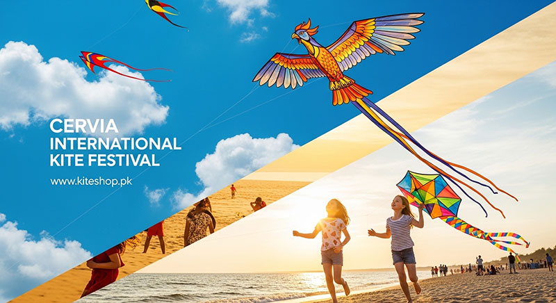 Cervia International Kite Festival kite festival hero image