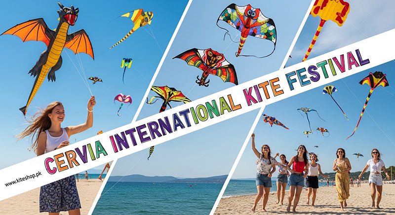 Cervia International Kite Festival kite photo 2