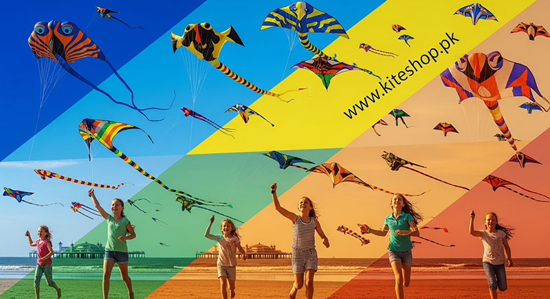 Scheveningen Kite Festival kite photo 2