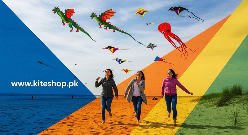 Scheveningen Kite Festival photo