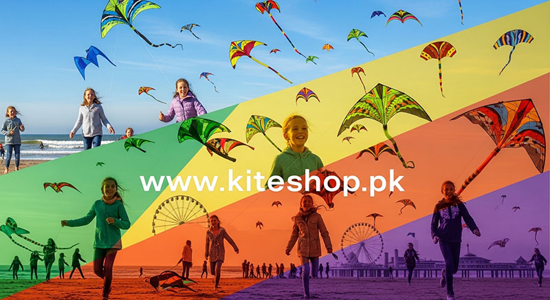 Scheveningen Kite Festival kite photo 3