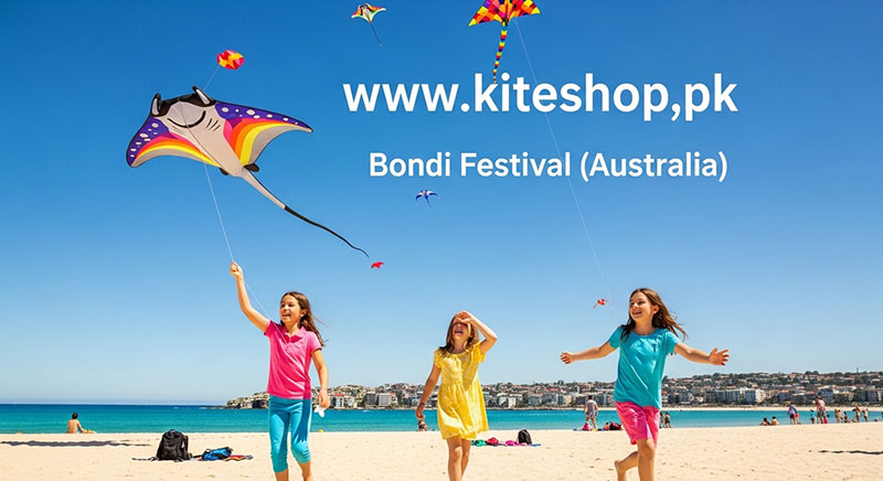 Bondi Kite Festival festival photo
