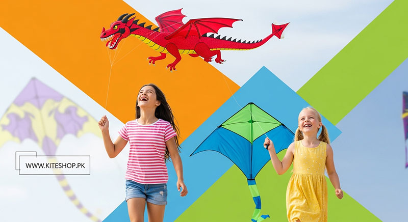 Trouville International Kite Festival kite photo 4