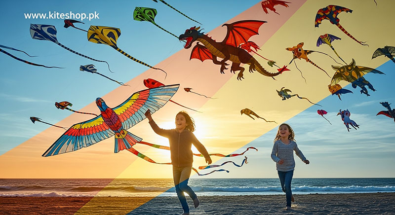 Guarda International Kite Festival festival photo