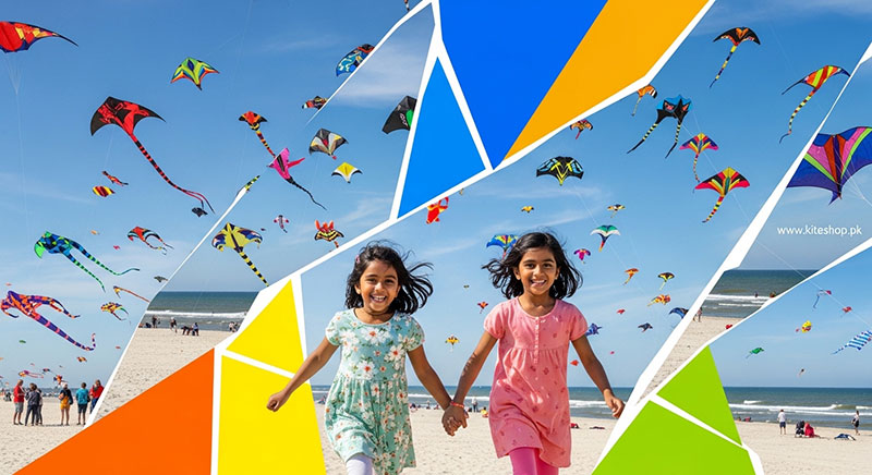 Fano Kite Festival kite photo 2