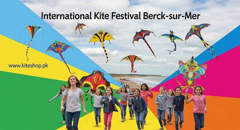 International Kite Festival Berck-sur-Mer kite photo 4