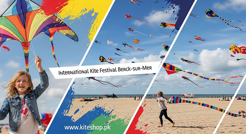 International Kite Festival Berck-sur-Mer kite photo 2