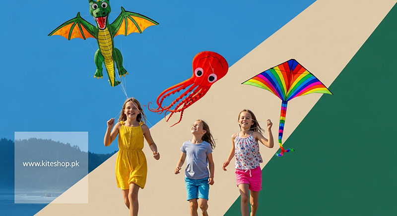 Lincoln City Summer Kite Festival kite photo 2