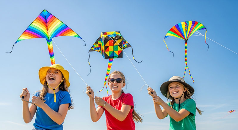 Wildwoods International Kite Festival kite photo 2