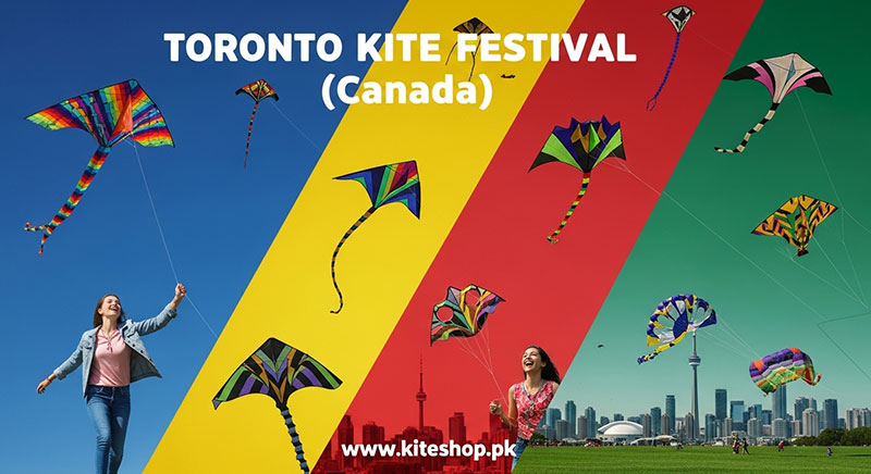 Toronto Kite Festival kite photo 3