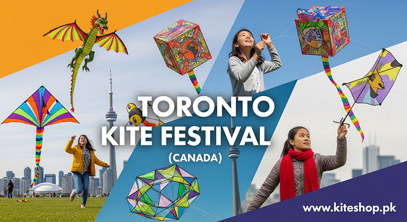 Toronto Kite Festival kite photo 2