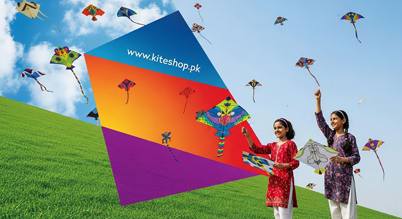 Ottawa International Kite Festival kite photo 2