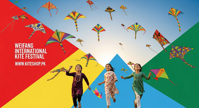 Weifang International Kite Festival kite photo 4