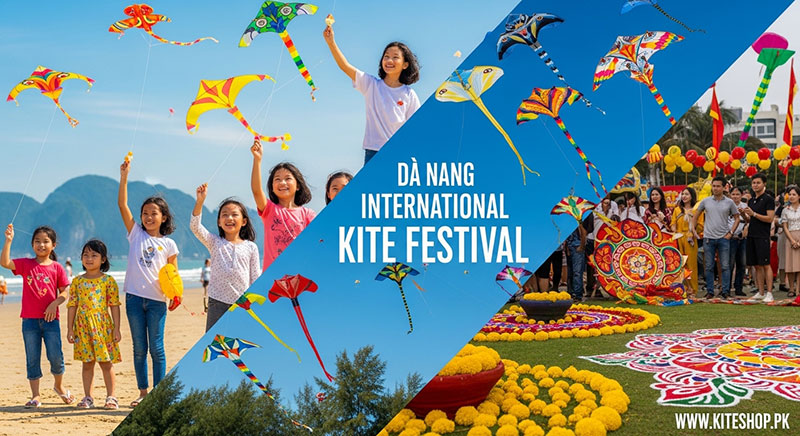 Da Nang International Kite Festival kite festival image