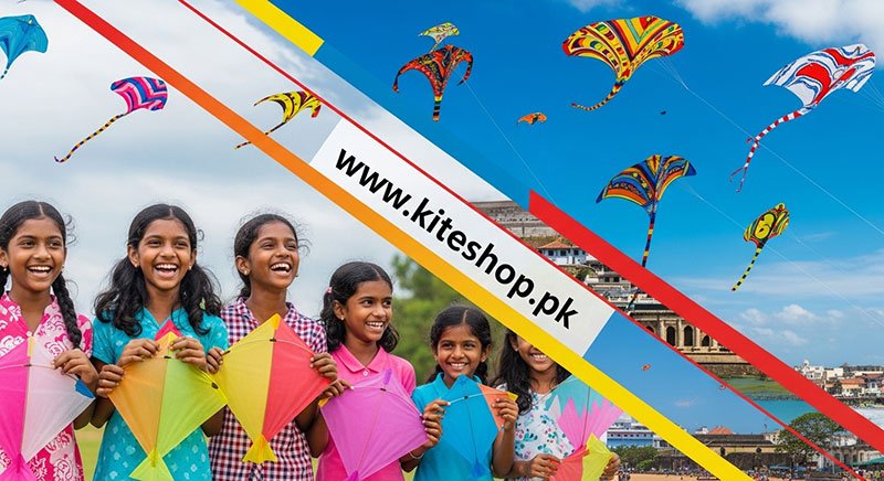 Jaffna International Kite Festival kite festival hero image