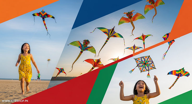 Phan Thiet Kite Festival kite photo 2