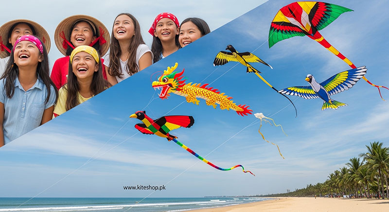 Phan Thiet Kite Festival festival photo