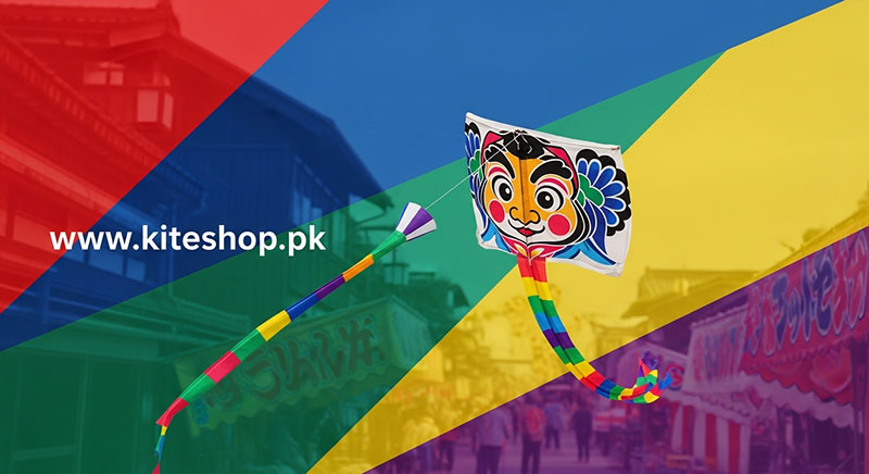 Hamamatsu Kite Festival kite photo 3