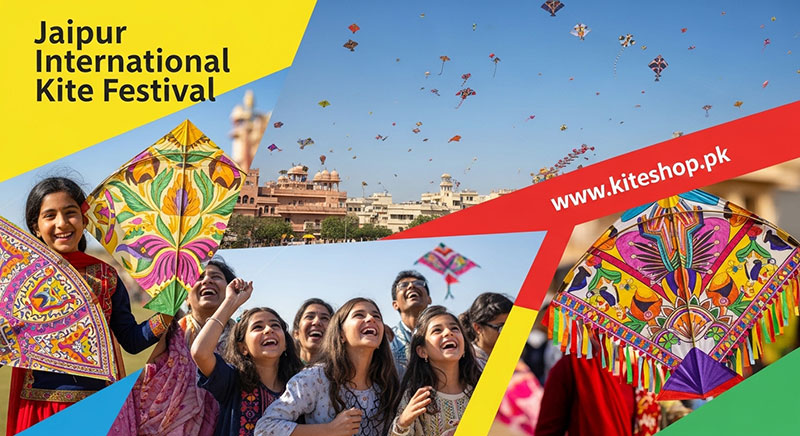 Jaipur International Kite Festival kite photo 4