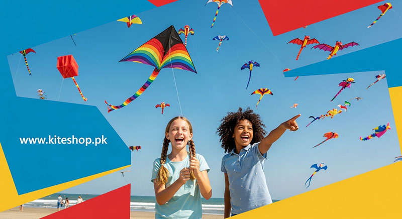 Ocean City Kite Festival kite photo 2