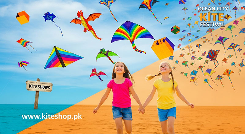 Ocean City Kite Festival kite photo 3