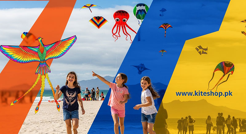 Cape Town International Kite Festival 2029