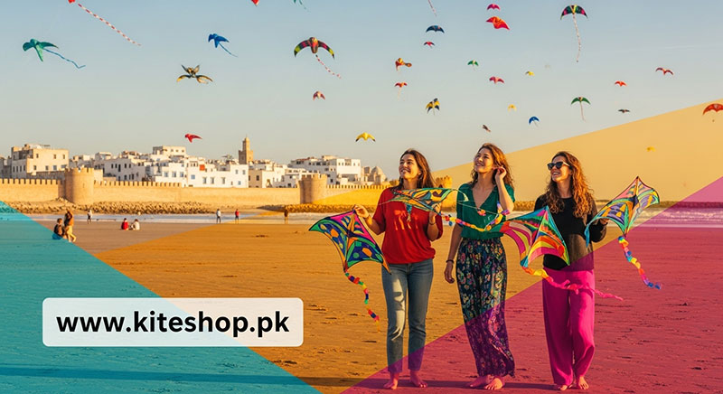 Essaouira Kite Festival kite festival hero image