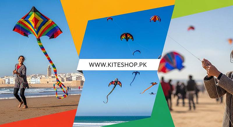 Essaouira Kite Festival festival photo