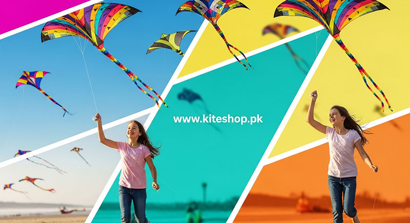 Sao Paulo Kite Festival kite photo 4