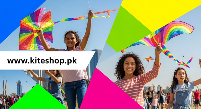 Sao Paulo Kite Festival kite photo 3